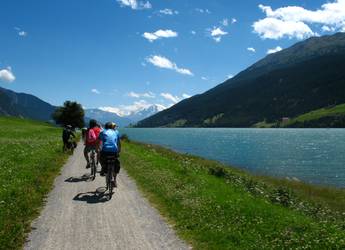 cyclists cyclists