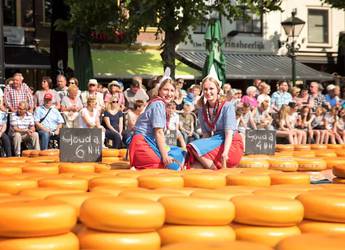 Gouda Gouda
