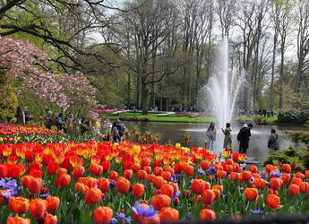 Keukenhof garden BBT updated