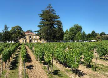 Tours Europe Blaye Vineyards Tours Europe Blaye Vineyards