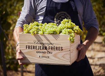 Champage Frerejean-Frères