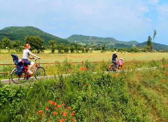 Tours Europe bike flowers Euganean Thermal District Tours Europe bike flowers Euganean Thermal District