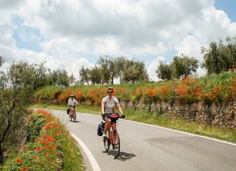 Tours Europe bike flowers Tuscany landscapes