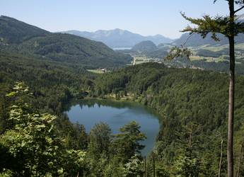 Tours Europe Salzkammergut lake Tours Europe Salzkammergut lake