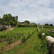 St Emulion vineyards