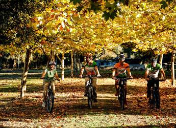 Portugese cycling Portugese cycling