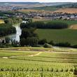 Champagne vineyards