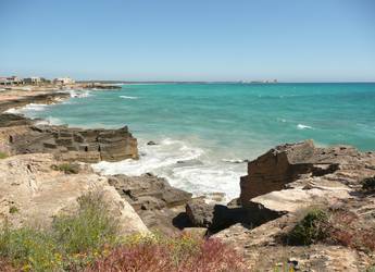 Maj Loop 1 Maj Loop 1