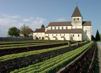 Constance 1 Constance 1