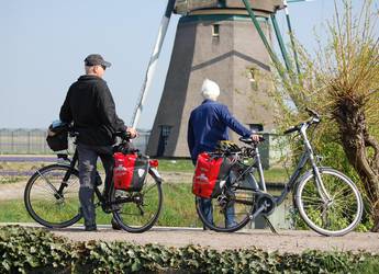 tulips and windmill tulips and windmill