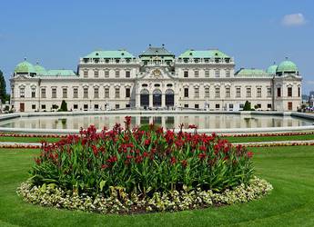 Tours Europe Belvedere flowers Tours Europe Belvedere flowers