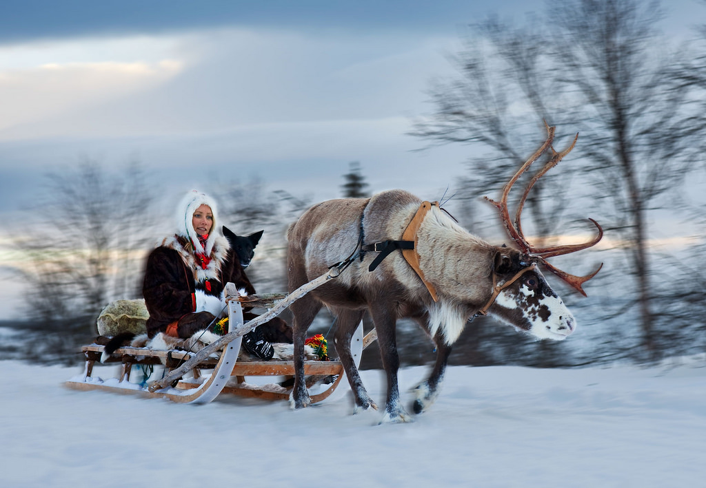 reindeer and sleigh