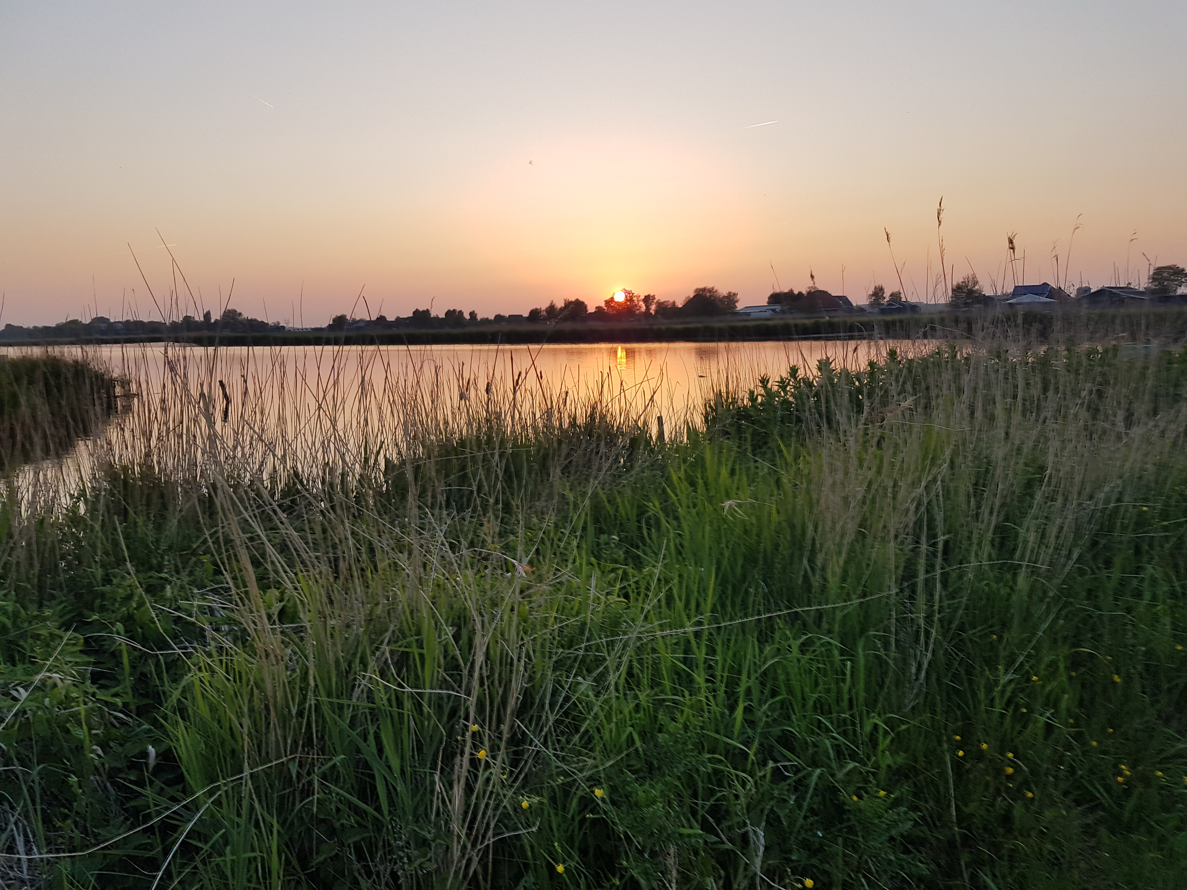 Holland's northern polders