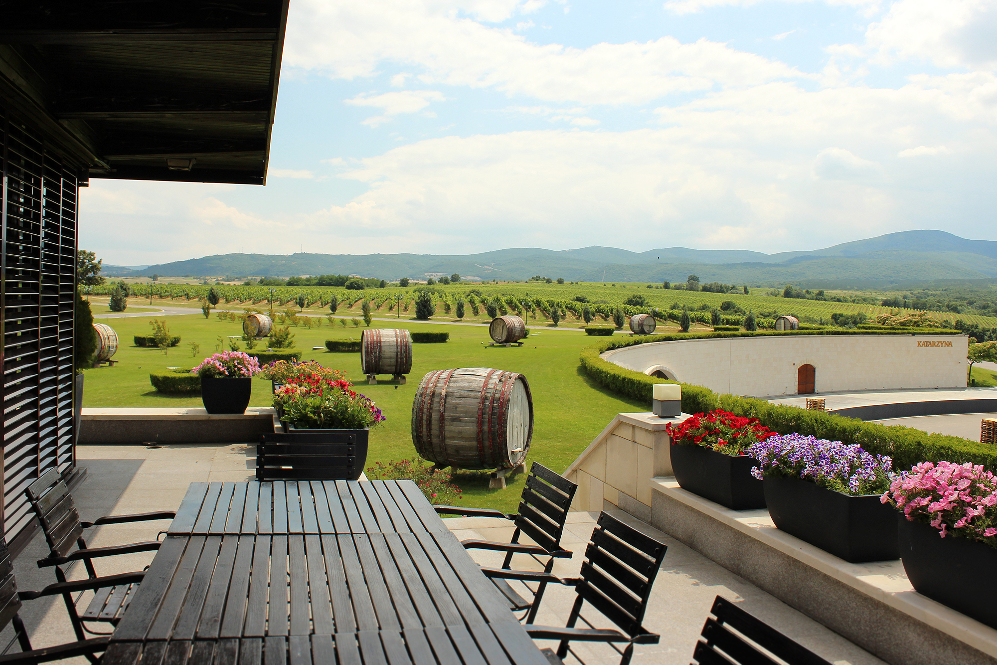 Bulgarian vineyard