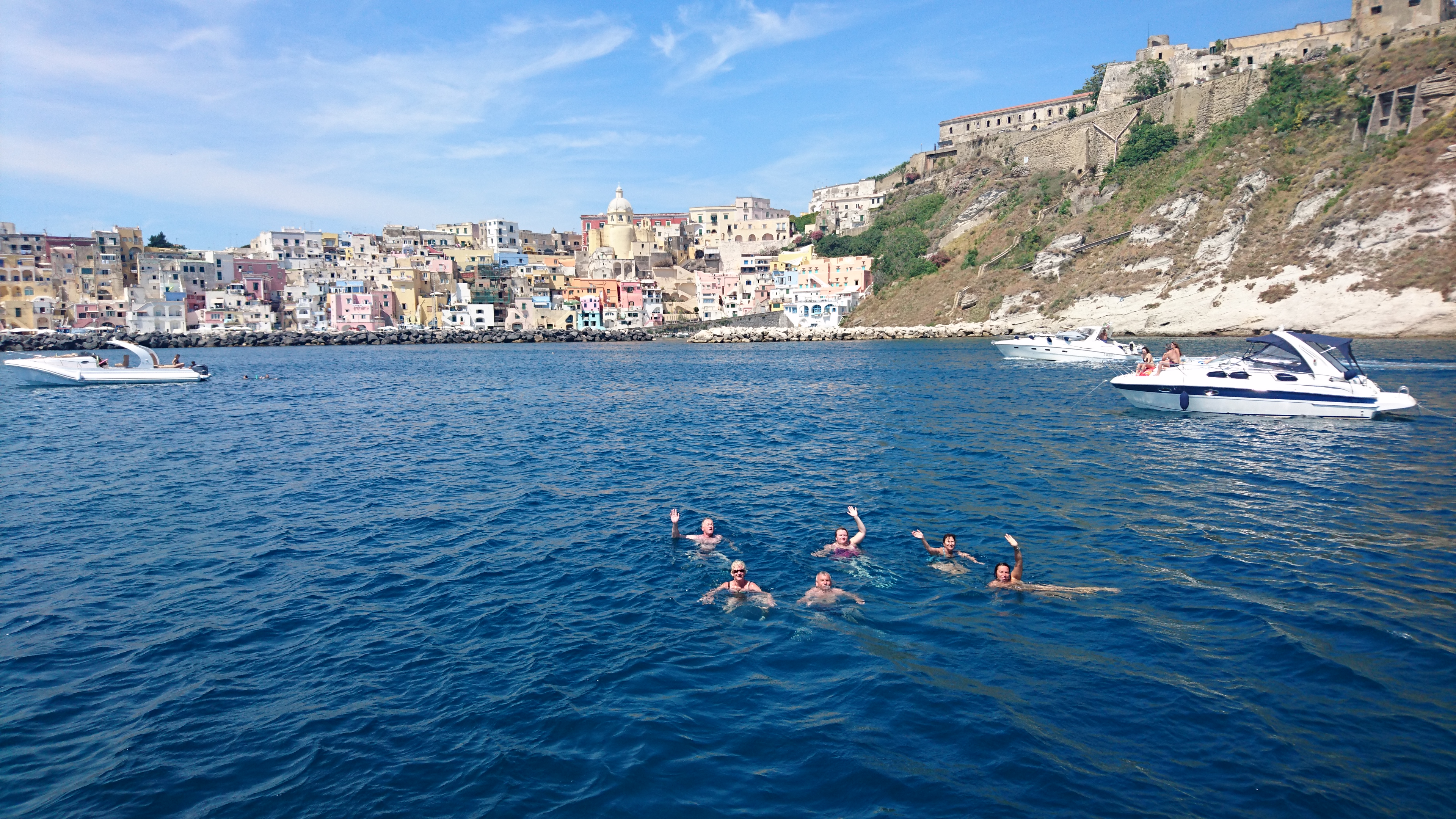 Percido bathing in the sea