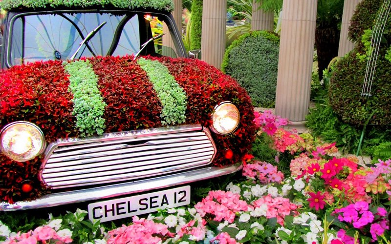 Chelsea flower show