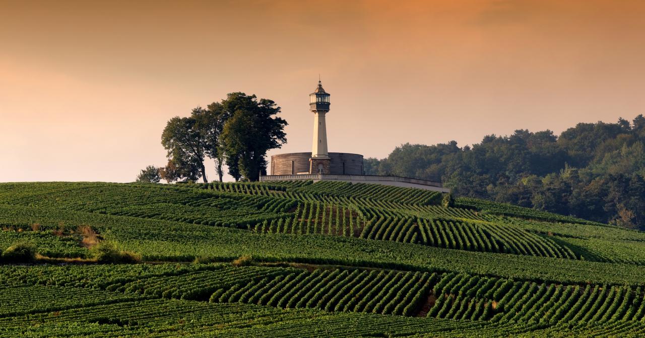 Champagen vineyards at sunset