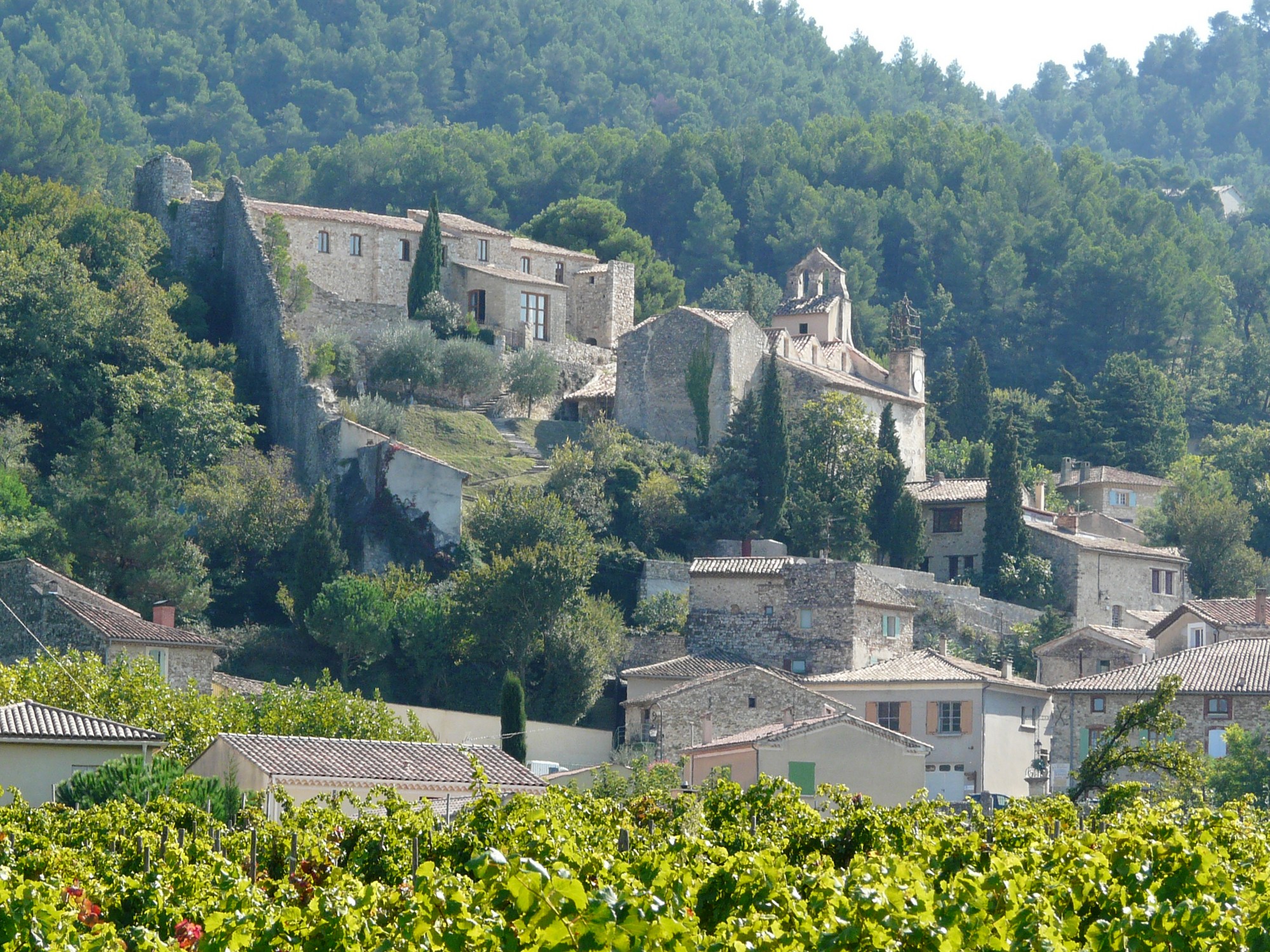 A Taste of the Vaucluse | Slow Tours