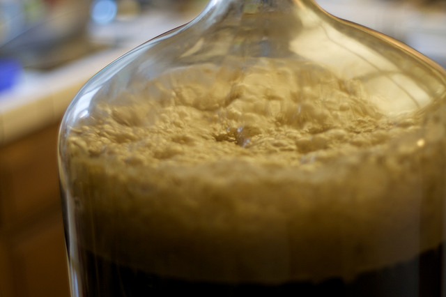 Yeast for beer fermentation