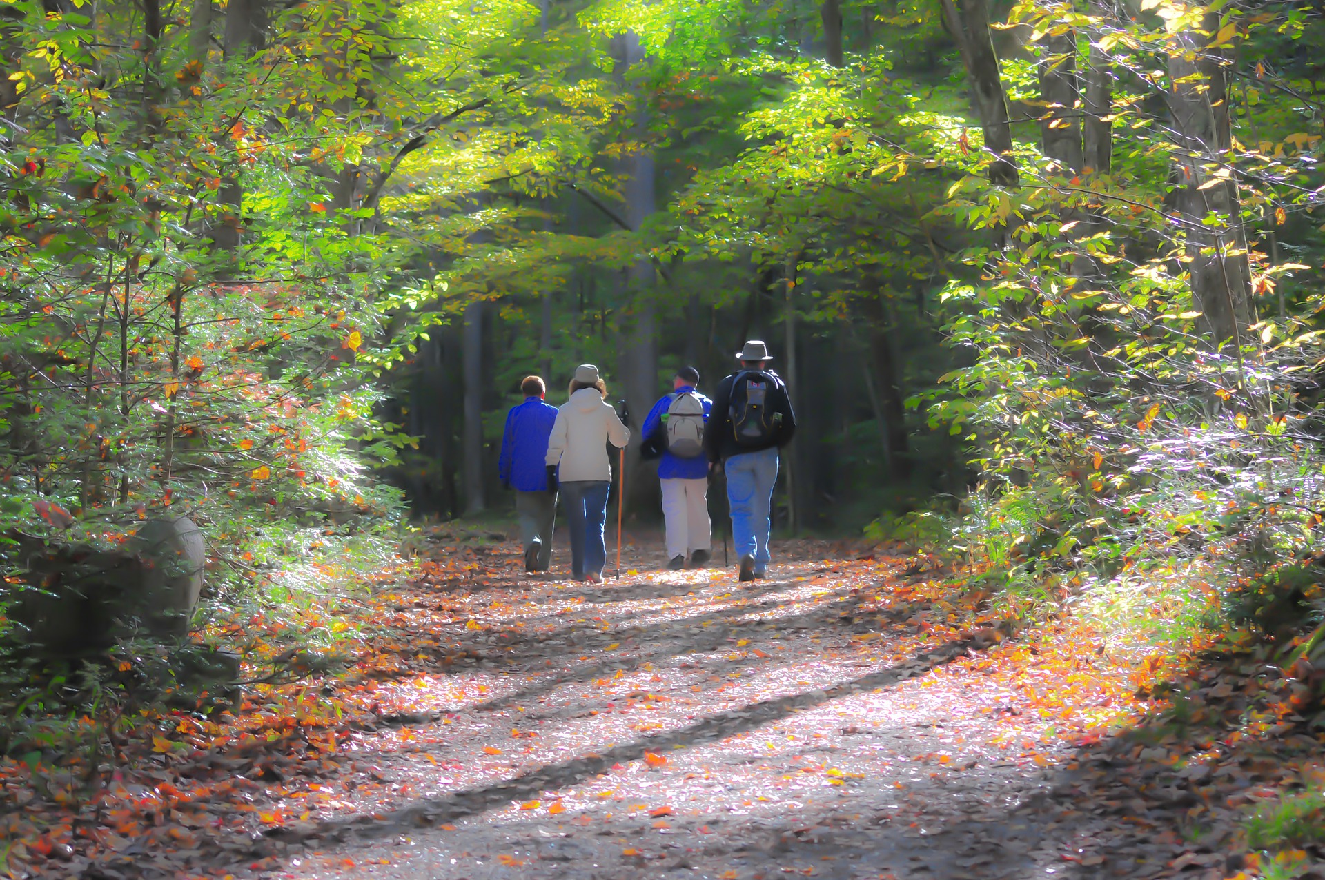 walking group