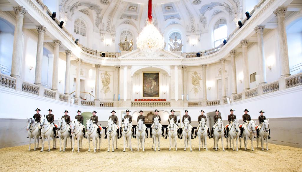 Lipizzaner horses in Vienna
